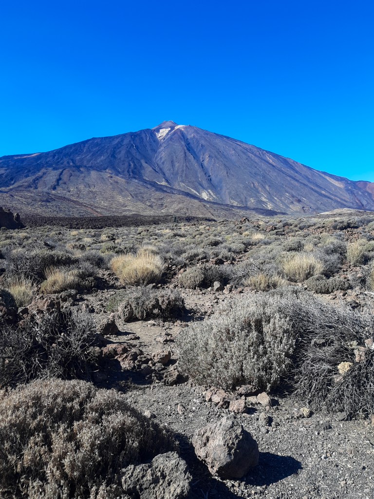 Widok na Teide